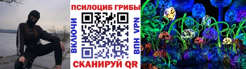 закладка  Осташков  Галлюциногенные грибы ЛСД 